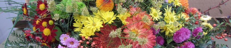 Evergreen Chrysanthemum Association